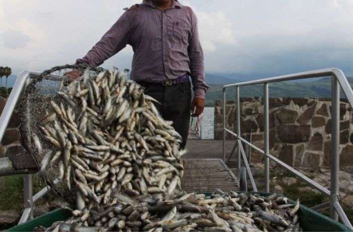 Екологічна трагедія в мексиканській озері Кахититлан (19 фото)