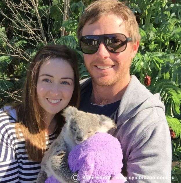 Мила коала знайшла нову сімю (7 фото + відео)