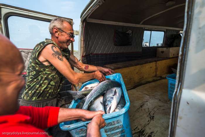 Видобуток риби і виробництво червоної ікри в рибальському селищі Магадана (36 фото)