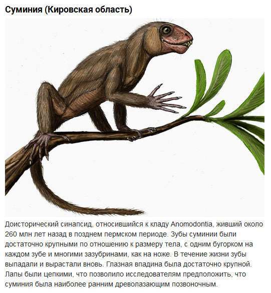 Доісторичні тварини, що населяли територію сучасної Росії (10 фото)