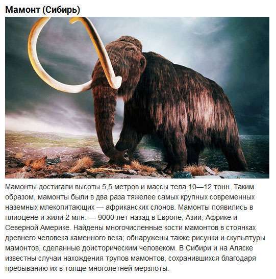 Доісторичні тварини, що населяли територію сучасної Росії (10 фото)