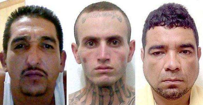 У Мексиці заарештовано Меліса «Ла Чину» Кальдерон, глава самого жорстокого наркокартелю (10 фото)