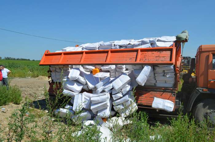 У Білгородській області знищили 10 тонн «санкційного» сиру (9 фото)