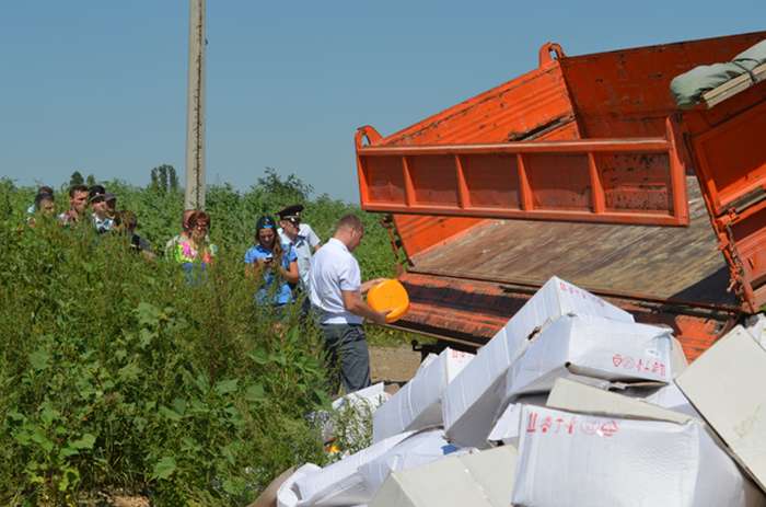 У Білгородській області знищили 10 тонн «санкційного» сиру (9 фото)
