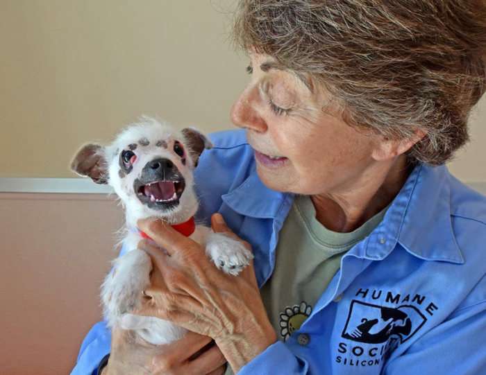 Американська сімя взяла собаку з притулку, незважаючи на її недуга (7 фото)
