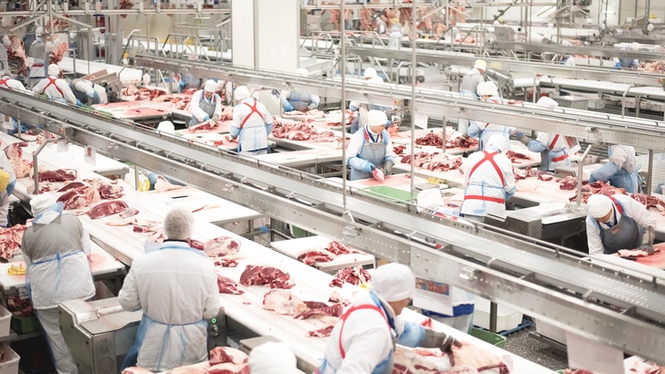 РФ получила право на экспорт молочной продукции, говядины и говяжьих субпродуктов в Алжир события,Новости,сделано у нас