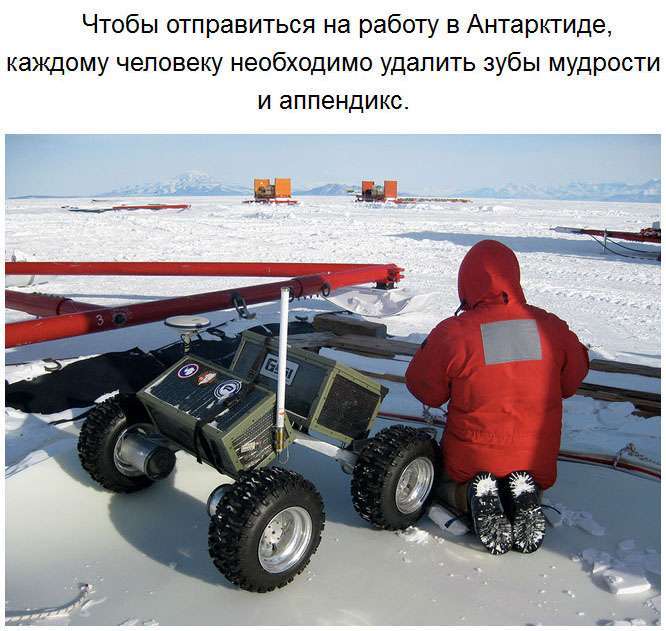 Дивовижні факти про Антарктиду. Частина 2 (27 фото)