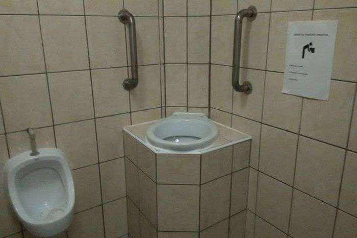 Незвичайна раковина в нічному клубі (фото)