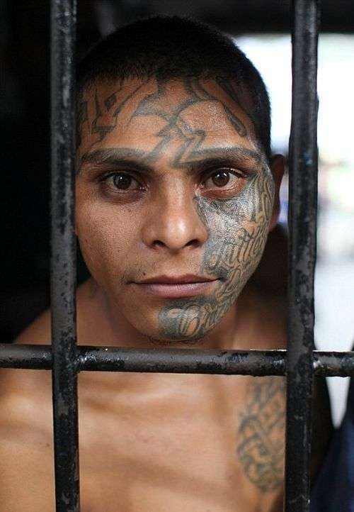 В гостях у банди Мара Сальватруча (MS-13) (10 фото)