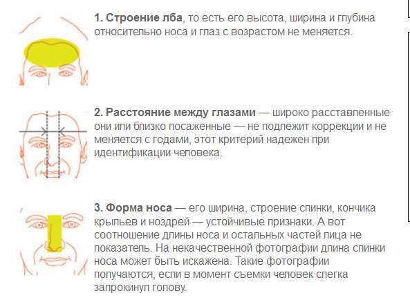 Як звіряють наші обличчя зі знімками в паспорті (4 картинки)
