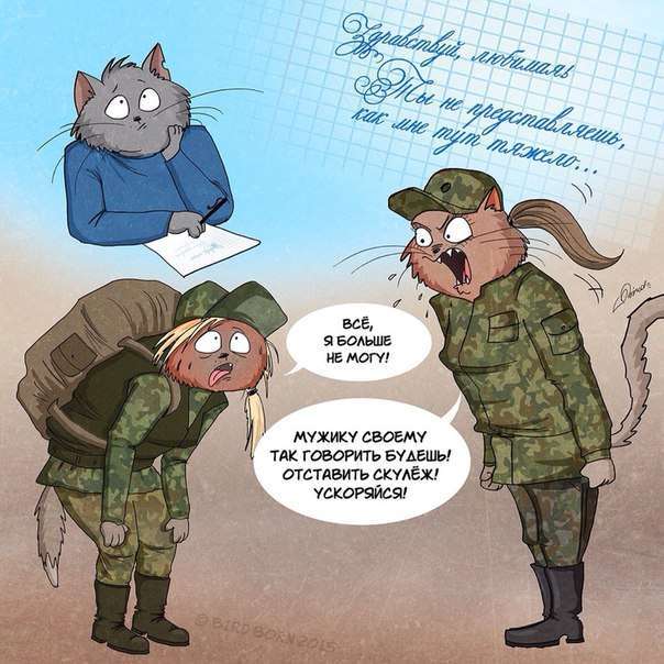 Що буде, якщо чоловіки і жінки поміняються місцями (9 картинок)