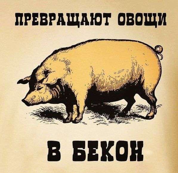 Прикольні картинки (92 фото)