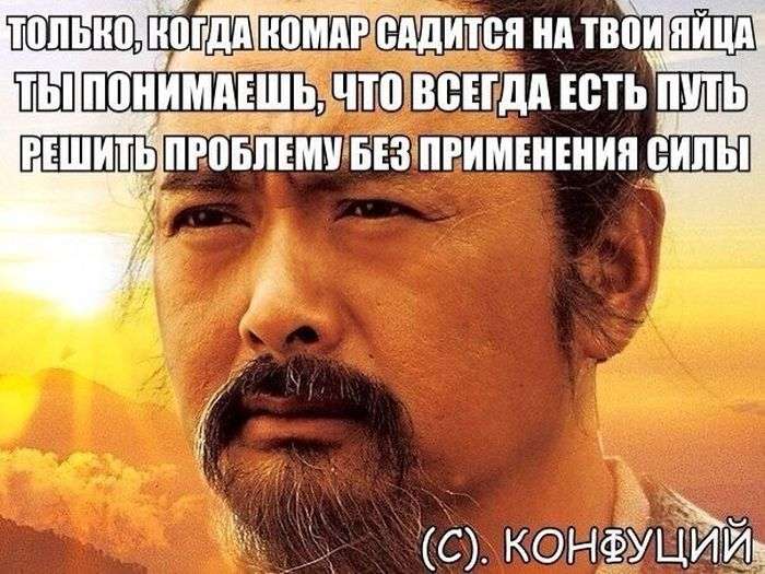 Прикольні картинки (92 фото)