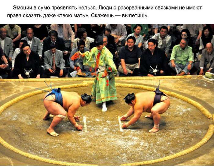 Цікаві факти про сумо (10 фото)