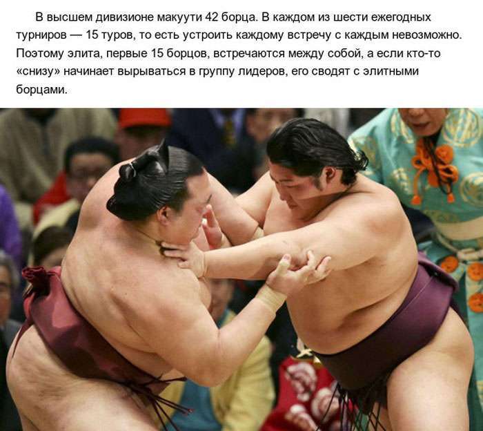 Цікаві факти про сумо (10 фото)