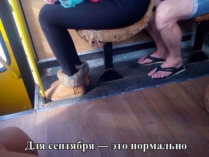 Прикольні картинки. Вечірній випуск (60 фото)
