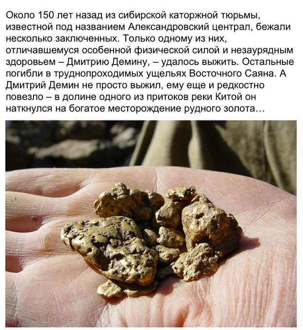 Нерозгадана таємниця демінського золота (8 фото)