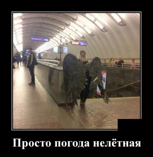 Подборка позитивных и смешных пятничных демотиваторов для поднятия настроения демотиваторы свежие,смешные демотиваторы