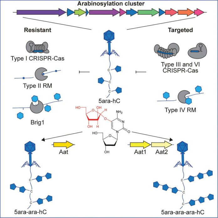 f3736b7c-cd13-4299-a86c-d876eb0f77ce-1