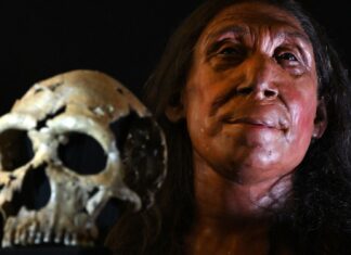 Чи вірили неандертальці в надприродне?