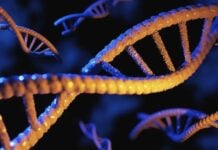 Зараз AI розробляє функціональний генетичний код з нуля