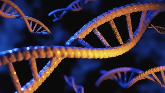 1ba381c3-e35b-4cdd-ba7a-de50093af6fe