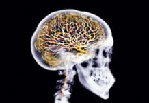 Brain Detox: Como otimizar o sistema de limpeza natural da sua mente