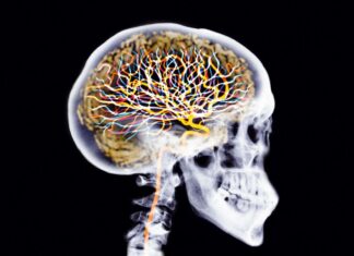 Brain Detox: So optimieren Sie das natürliche Reinigungssystem Ihres Geistes