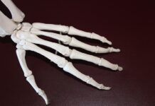 3D-печатные костные каркасы: на шаг ближе к естественным имплантам