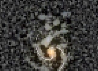 Vroege balkspiraalstelsel daagt kosmische evolutiemodellen uit