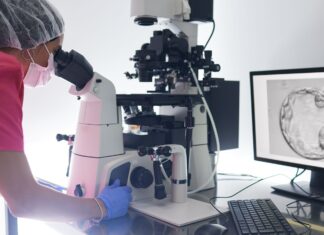 Bezbolestné hormonální podání při IVF: Mikrojehličková náplast vykazuje slibné výsledky v raných zkouškách