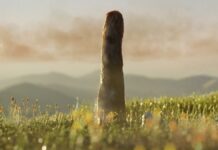 Наукові відкриття тижня: прориви в канабісі, стародавнє життя та здоров’я людини