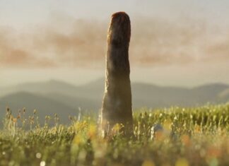 Научные открытия недели: прорывы в каннабисе, древней жизни и здоровье человека