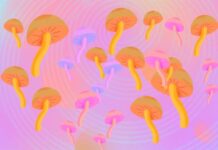 Странное Слияние Технологий, Психоделиков и Поисков Бессмертия