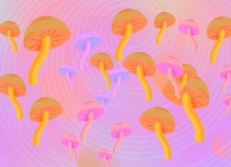 La convergence bizarre des poursuites technologiques, psychédéliques et immortelles