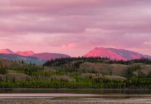 Лісововідновлення в Канаді: Потенційне Кліматичне Рішення та Його Обмеження