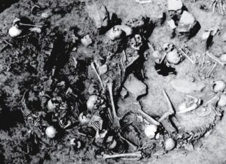 Masacre de la Edad del Hierro en Serbia: la evidencia sugiere asesinatos selectivos de mujeres y niños