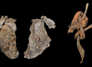 World’s Oldest Clothing: 12,400-Year-Old Hides Found in Oregon