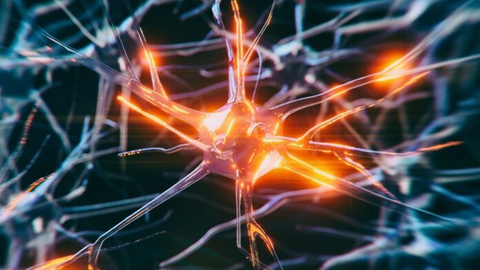 9564375b-a8c1-48f2-9309-9615b0e18bfa