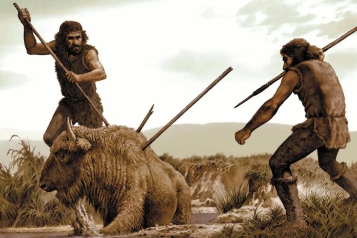 f536befd-4cbe-4728-8c18-0ae754ffcf8a