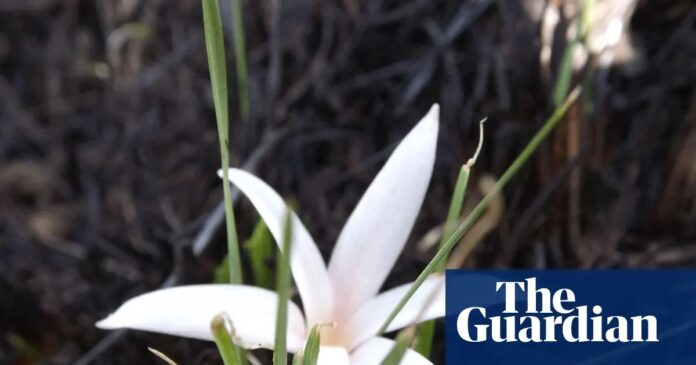 16a600ef-5e7a-4964-a37b-8b70c751e1bf