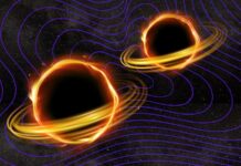 Il catalogo delle onde gravitazionali raddoppia: l’universo rivela più collisioni tra buchi neri e stelle di neutroni