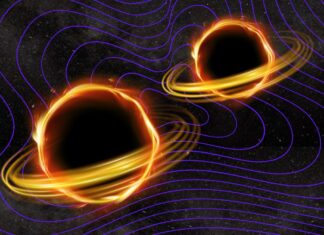 Podwojenie katalogu fal grawitacyjnych: Wszechświat ujawnia więcej zderzeń czarnych dziur i gwiazd neutronowych