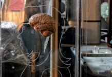 Когнітивна Перевага: Як Усвідомлення Себе Формує Впевненість та Прийняття Рішень