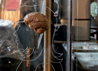 De cognitieve voorsprong: hoe zelfbewustzijn vertrouwen en besluitvorming vormgeeft