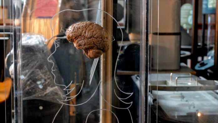 41649762-3c85-4b26-b348-853250c278f9