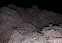 Зразки Астероїдів Підтверджують Широке Поширення Ключових Будівельних Блоків Життя у Сонячній Системі