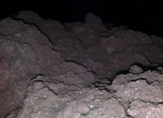 Próbki asteroid potwierdzają szerokie rozmieszczenie kluczowych elementów życia w Układzie Słonecznym