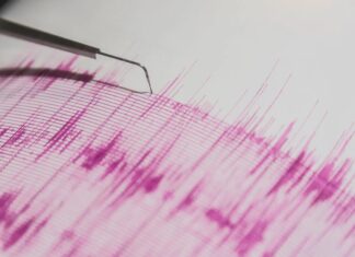 Costruisci il tuo sismografo: un esperimento scientifico pratico