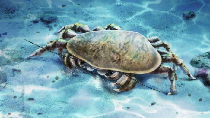 c93362aa-5a38-40f8-b9f8-64a992c1bb00